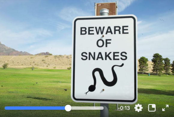 Rattlesnake Awareness Tips