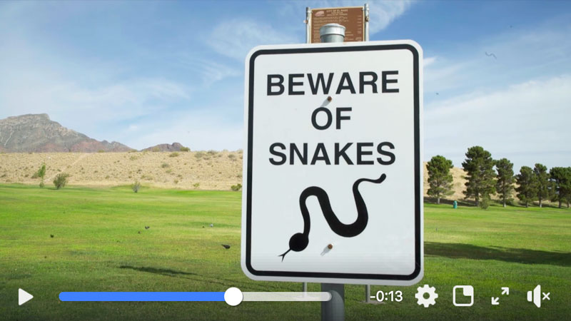 Rattlesnake Awareness Tips