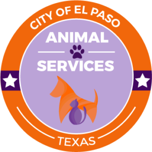 Bark Meow N Beyond Dog Adoptions El Paso Animal Services