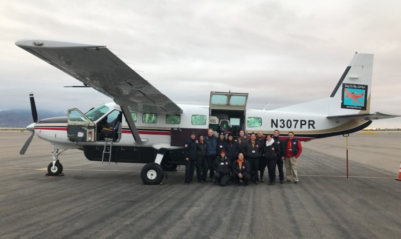 Las mascotas de El Paso toman Freedom Flight gracias a Dog Is My Copilot