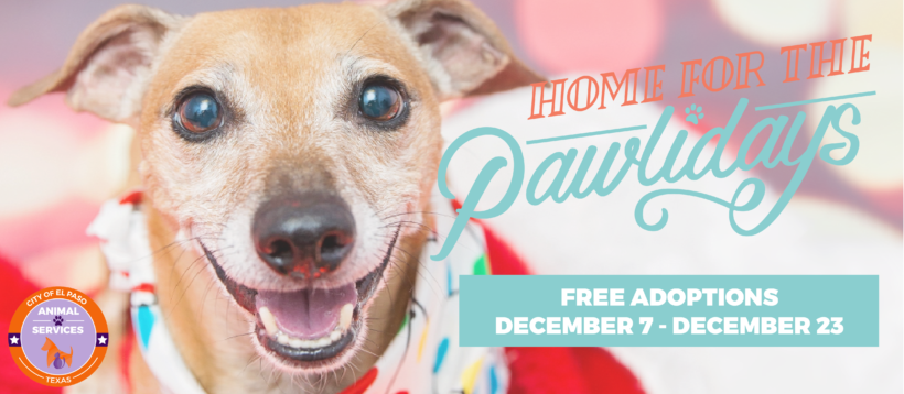 Press Release-Home for the Pawlidays
