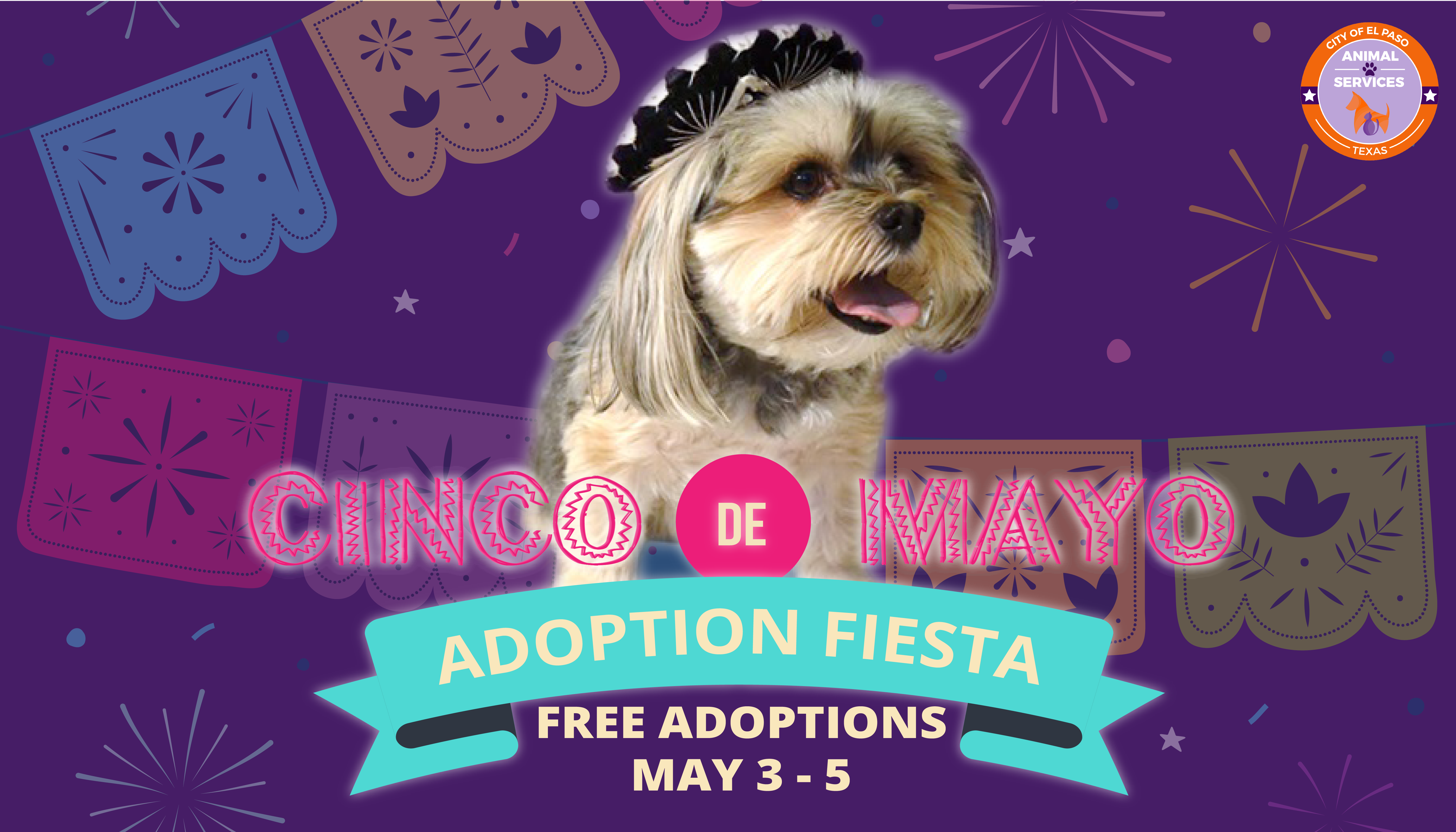 free pet adoptions this weekend