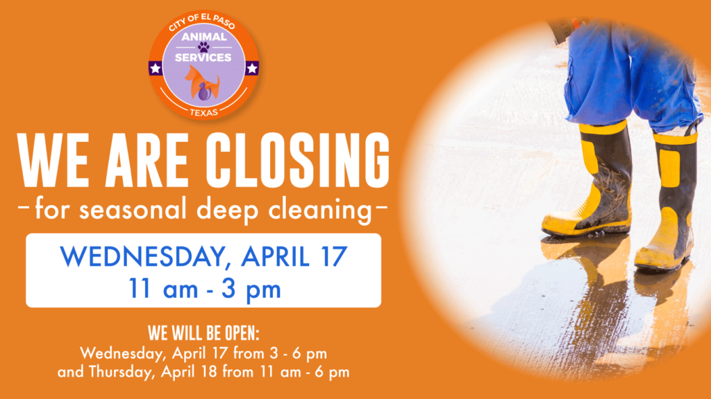 Press ReleaseAnimal Services to Reduce Center Hours for Wednesday Deep Cleaning El Paso