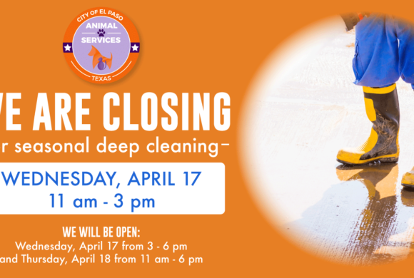 Press Release-Animal Services to Reduce Center Hours for Wednesday Deep Cleaning