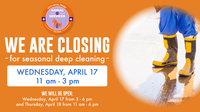 Press Release-Animal Services to Reduce Center Hours for Wednesday Deep Cleaning