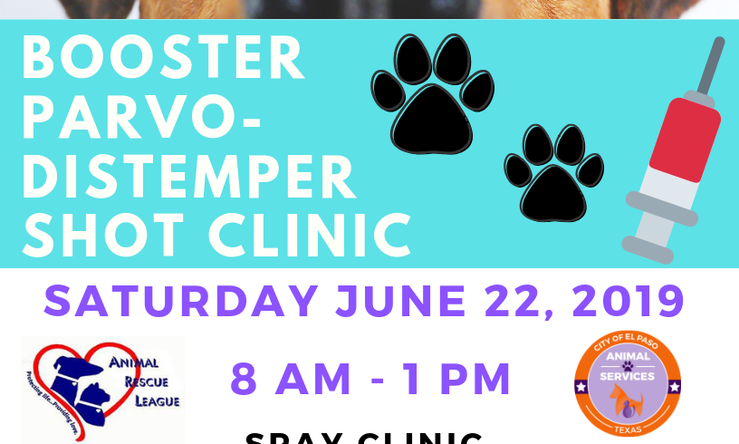FREE Microchip & Vaccine Booster Clinic