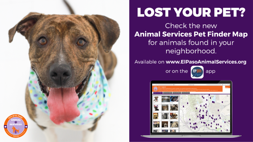 Press Release-City Departments Create New Community Tool Aimed at Helping Lost Pets