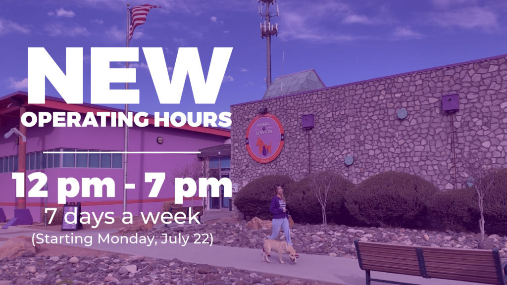 Press ReleaseAnimal Services Center Adjusts Operating Hours to Better