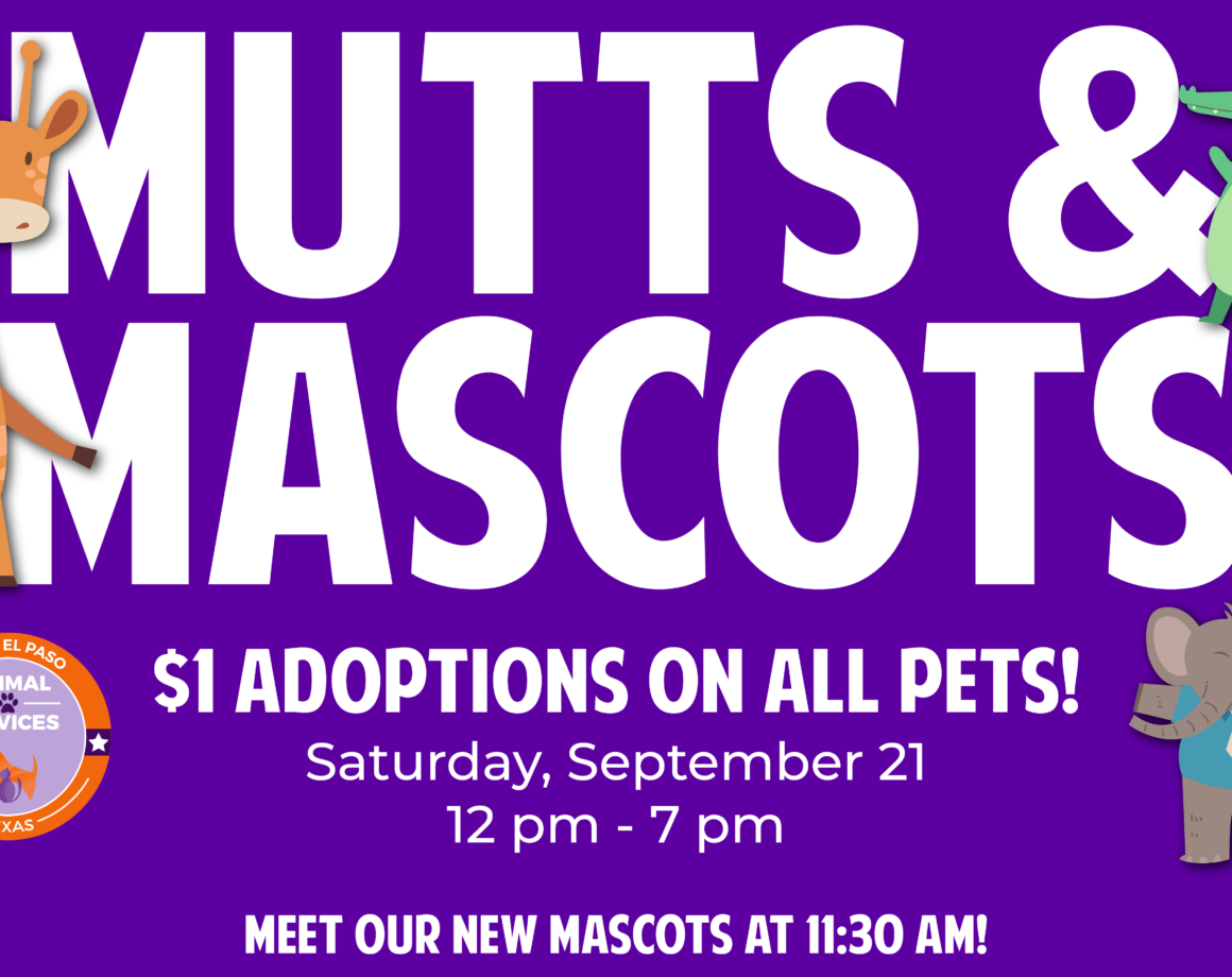 Mutts & Mascots 1 Adoptions El Paso Animal Services