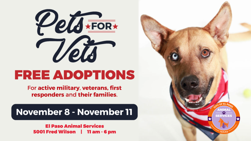 Press Release: Free Adoptions for Veterans, Active Military, First Responders and Families