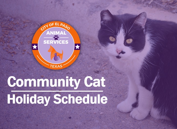 Community Cat Drop-off Holiday Schedule