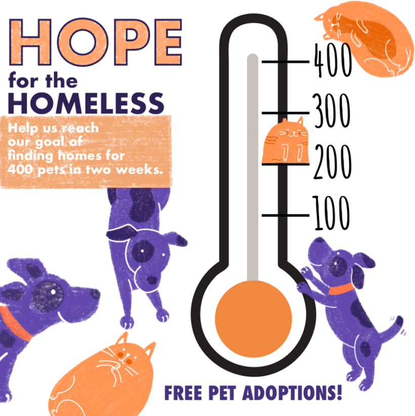 Press Release: Animal Services Campaign Calling for 400 Adoptions in Two Weeks