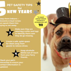 Press Release: New Year’s Eve Celebration Brings an Increased Risk of Lost Pets