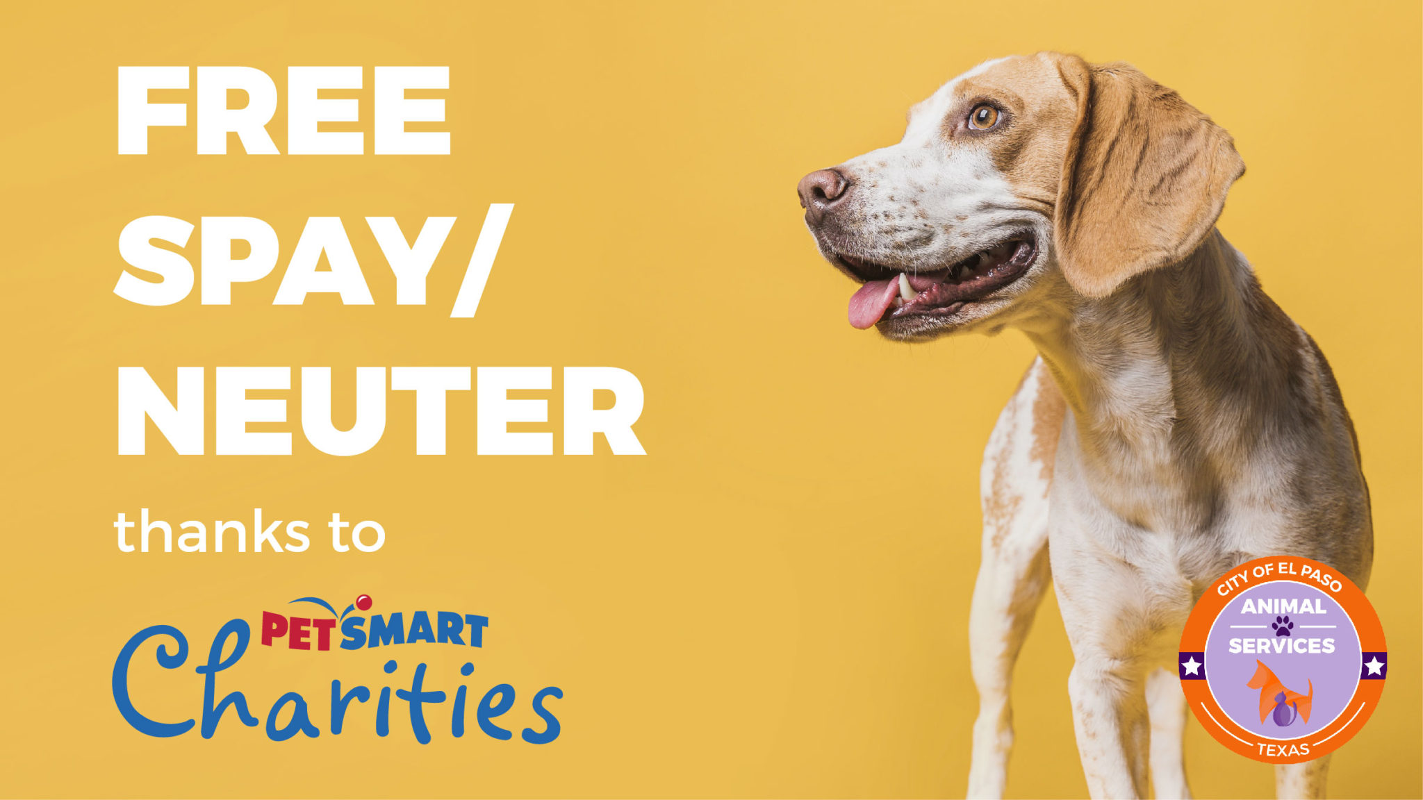 Animal Services Announces Additional Signup Dates for NoCost Spay