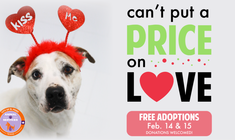 Press Release: Shelter Pets Eager to Meet their Match During “Can’t Put a Price on Love” Event