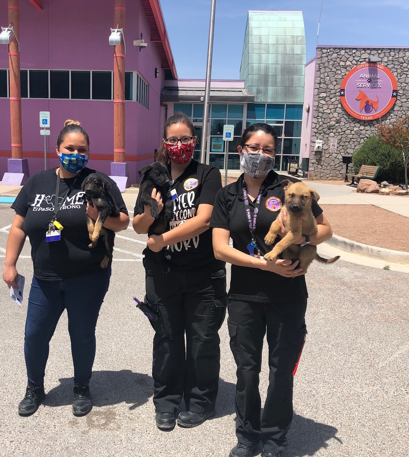 How to AdoptVirtual Clear the Shelters El Paso Animal Services