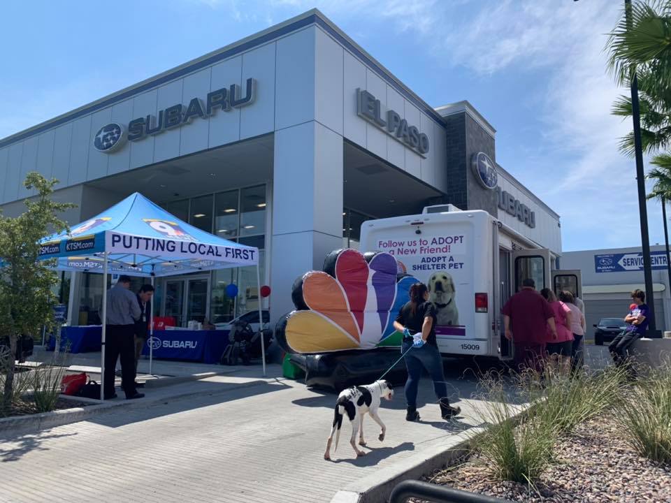 Clear the Shelters with Subaru El Paso Animal Services