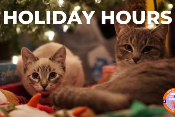Holiday Hours-2020
