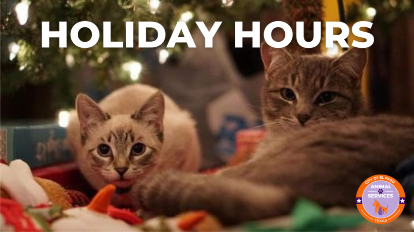Holiday Hours-2020