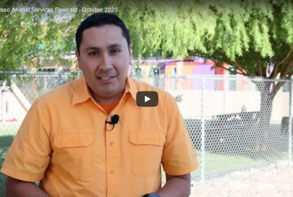 Video: El Paso Animal Services Pawcast October 2020
