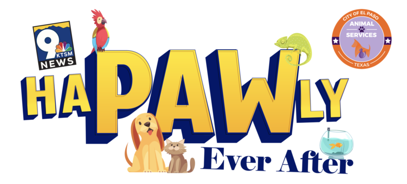 HaPAWly Ever After – Adopt a Pet!