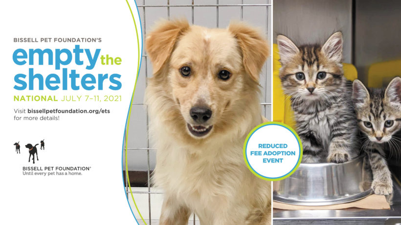 Pressemitteilung: Stadt veranstaltet kostenlose Adoptionsveranstaltung „Empty the Shelter“ mit der BISSELL Pet Foundation
