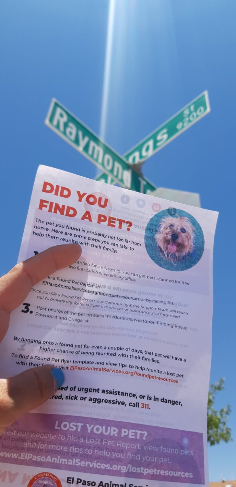 Press Release: Animal Services Empowers Neighbors To Reconnect Lost Pets with Families