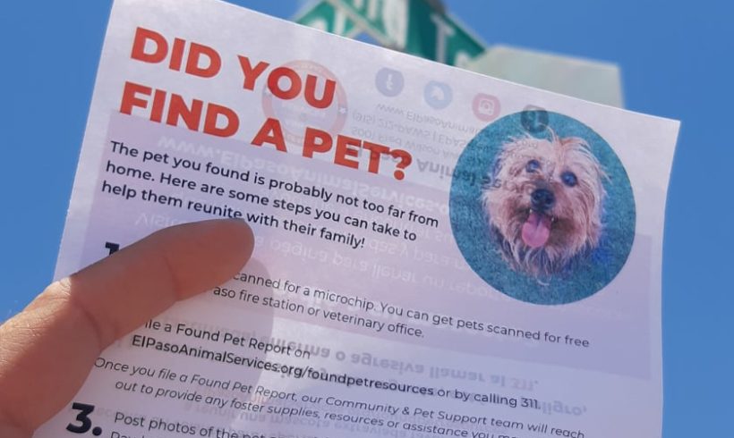 Press Release: Animal Services Empowers Neighbors To Reconnect Lost Pets with Families