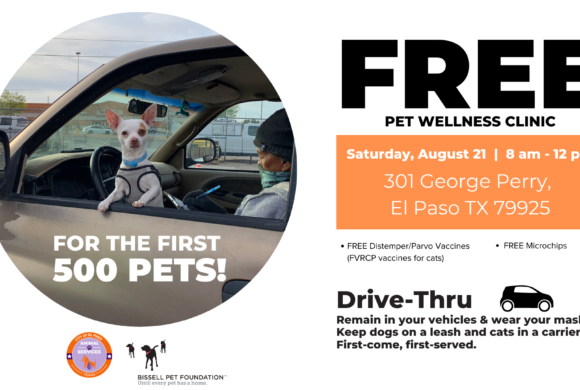 Press Release: Animal Services Hosts Drive-Thru Clinic, Offers Free Pet Services