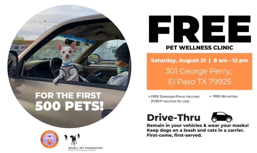 Press Release: Animal Services Hosts Drive-Thru Clinic, Offers Free Pet Services