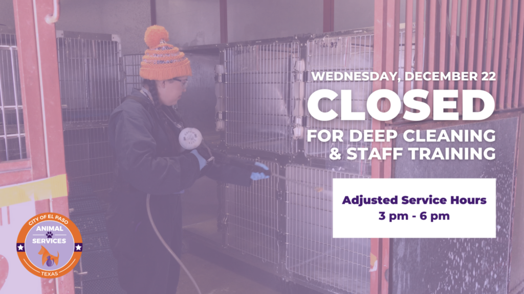 Press Release Animal Services to Reduce Hours for Deep Cleaning El Paso Animal Services