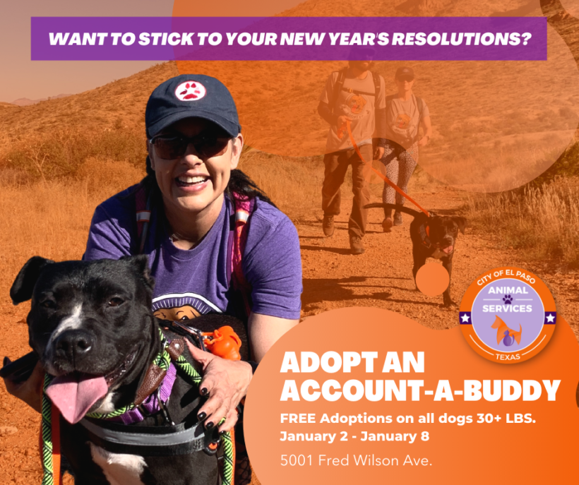 Press Release: Community Invited to Adopt a Pet as an “Account-a-Buddy” this New Year