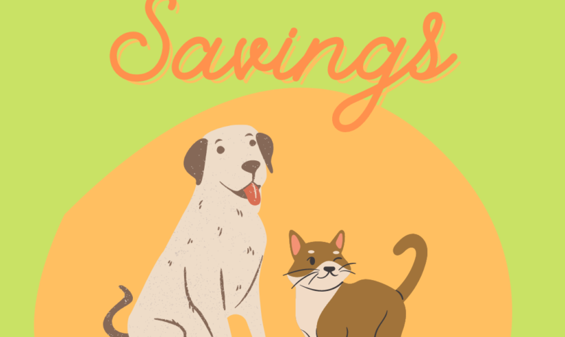 Press Release: “Straylight Savings” a Good Time to Check Pets Microchip Information