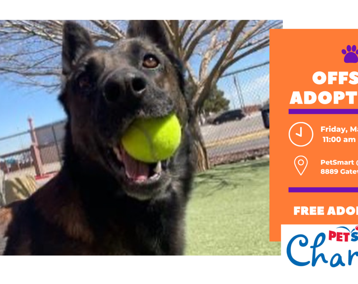 Mobile Pet AdoptionsPetSmart El Paso Animal Services