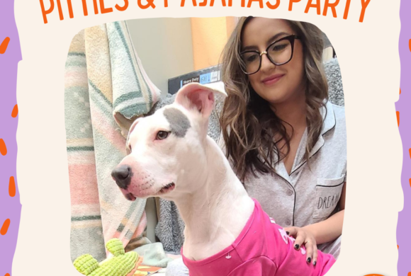 Press Release: “Pitties & Pajamas” Adoption and Foster Special to Connect Families with Snuggly Pets