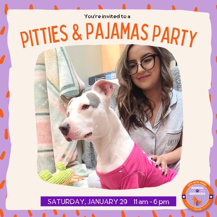 Press Release: “Pitties & Pajamas” Adoption and Foster Special to Connect Families with Snuggly Pets