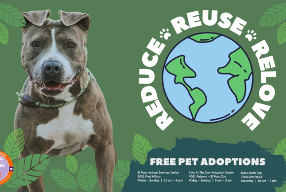 Press Release: El Paso Animal Services Celebrates Earth Day with FREE Adoptions