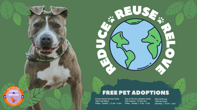 Press Release: El Paso Animal Services Celebrates Earth Day with FREE Adoptions