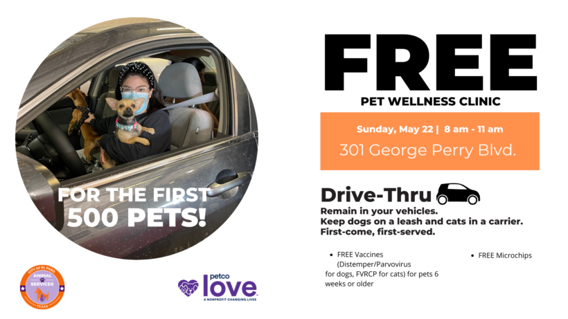 Press Release: City of El Paso Drive-Thru Clinic Offers Free Pet Services to Hundreds of Pets