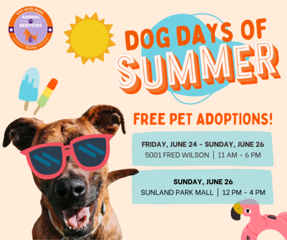 Press Release: El Paso Animal Services Celebrates Summer with FREE ...