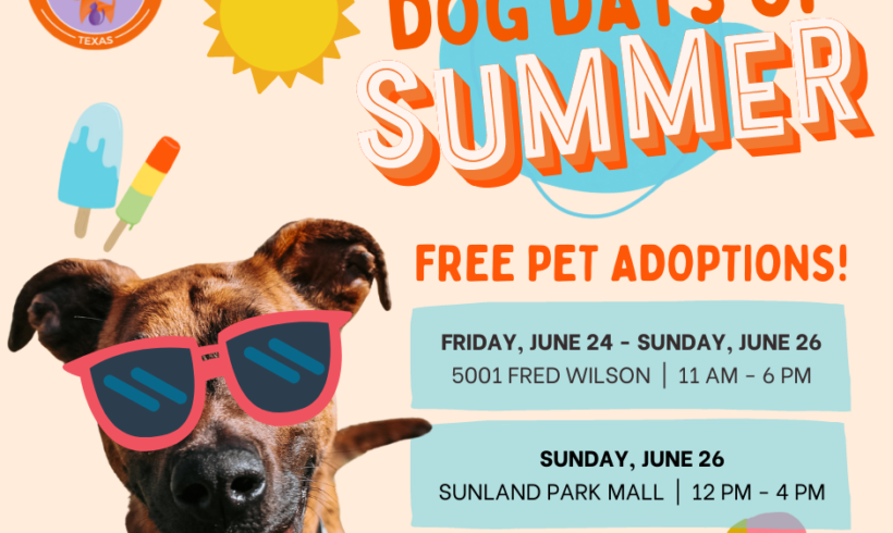 Press Release:  El Paso Animal Services Celebrates Summer with FREE Adoptions
