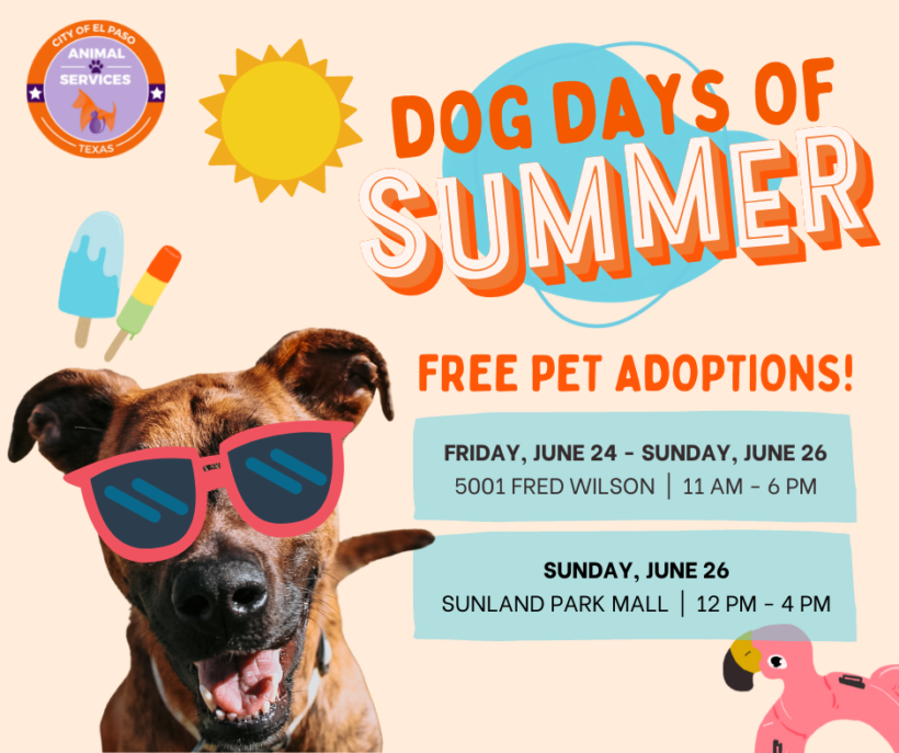 Press Release:  El Paso Animal Services Celebrates Summer with FREE Adoptions