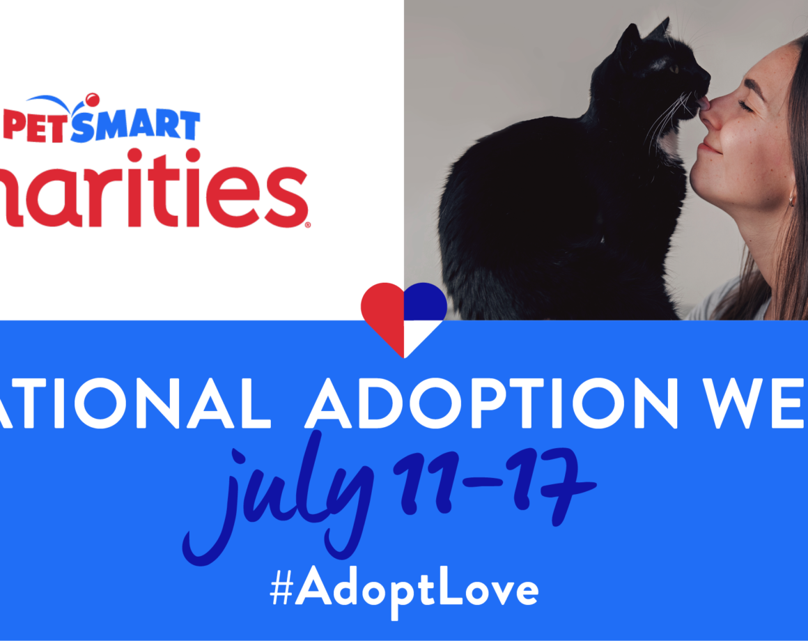 Mobile AdoptionsPetSmart El Paso Animal Services