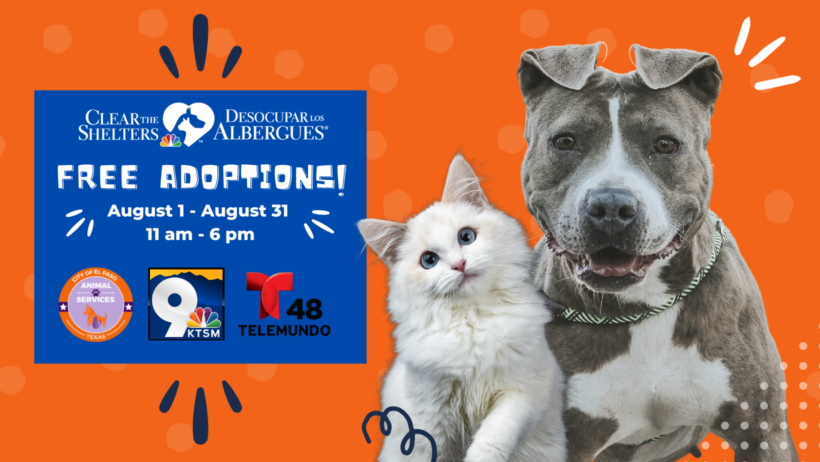Press Release: El Paso’s Largest Adoption Event Returns at Vital Time When Shelter Remains Full