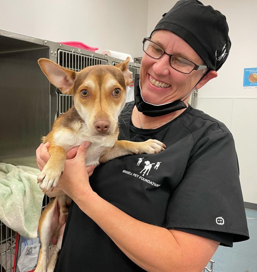 PRESS RELEASE: City Animal Services Welcomes Traveling Veterinarian with BISSELL Pet Foundation Partnership