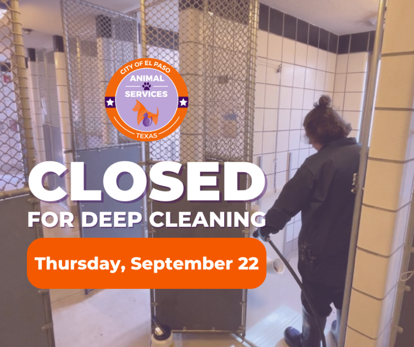 Press Release: Animal Services Center to Close for Routine Deep Cleaning