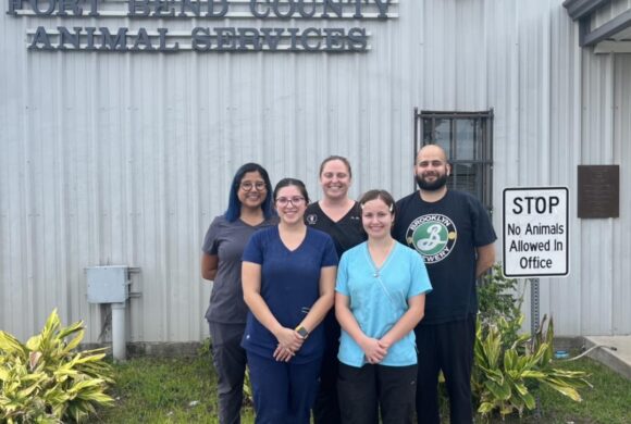 Press Release: Animal Services Hosts Relief Veterinarians to Expand and Assist Surgical Efforts