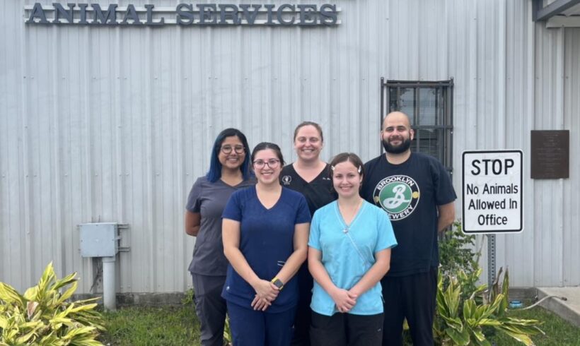 Press Release: Animal Services Hosts Relief Veterinarians to Expand and Assist Surgical Efforts