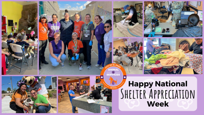 Press Release: City of El Paso Celebrates National Animal Shelter Appreciation Week