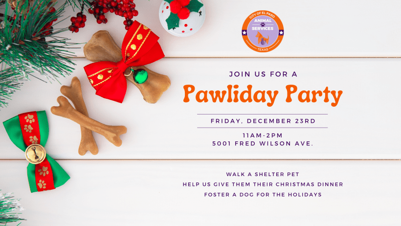 Press Release: El Paso Animal Services to Hosts ‘Pawliday Pawty’ Volunteer & Foster Event